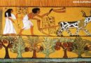 Znanje starih Egipćana