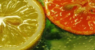 limun i naranča