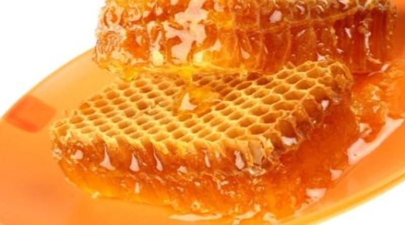 ljekovita svojstva meda